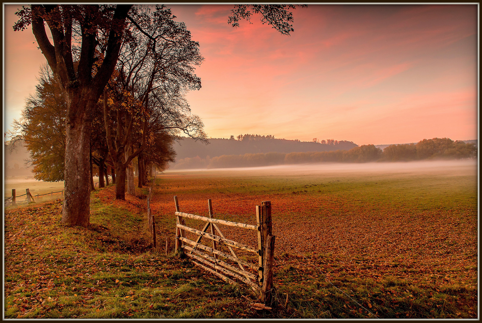 Herbstabend.....