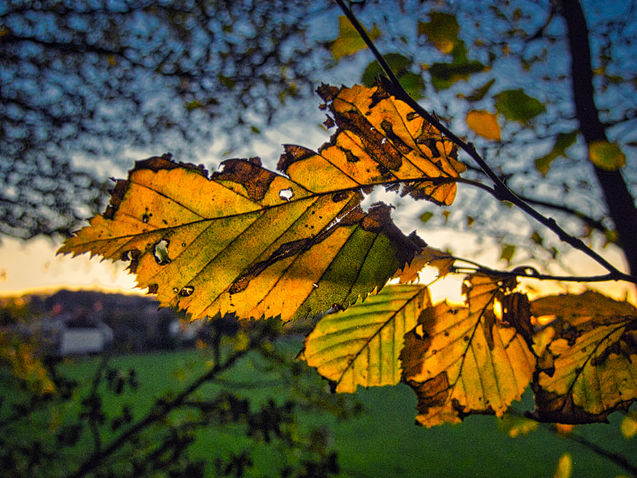 Herbstabend