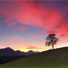 Herbstabend im Allgäu bei Füssen