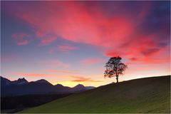 Herbstabend im Allgäu bei Füssen