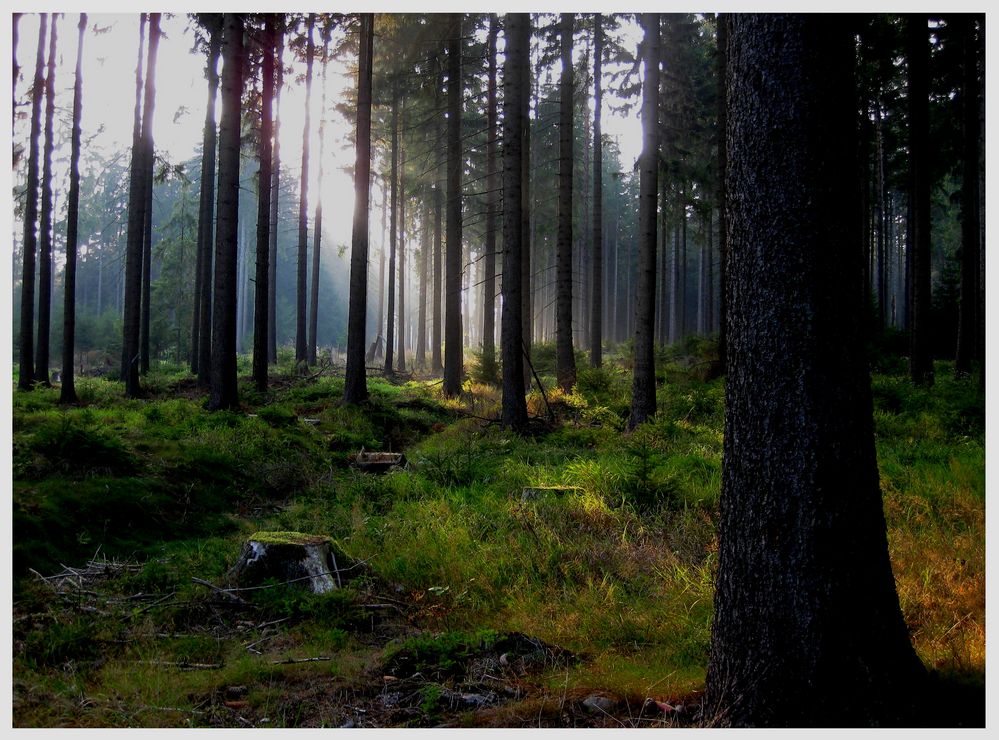 Herbstabend im Fichtelgebirge