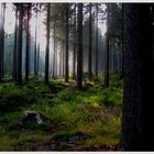 Herbstabend im Fichtelgebirge