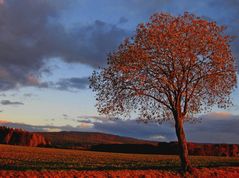 Herbstabend im Fichtelgebirge