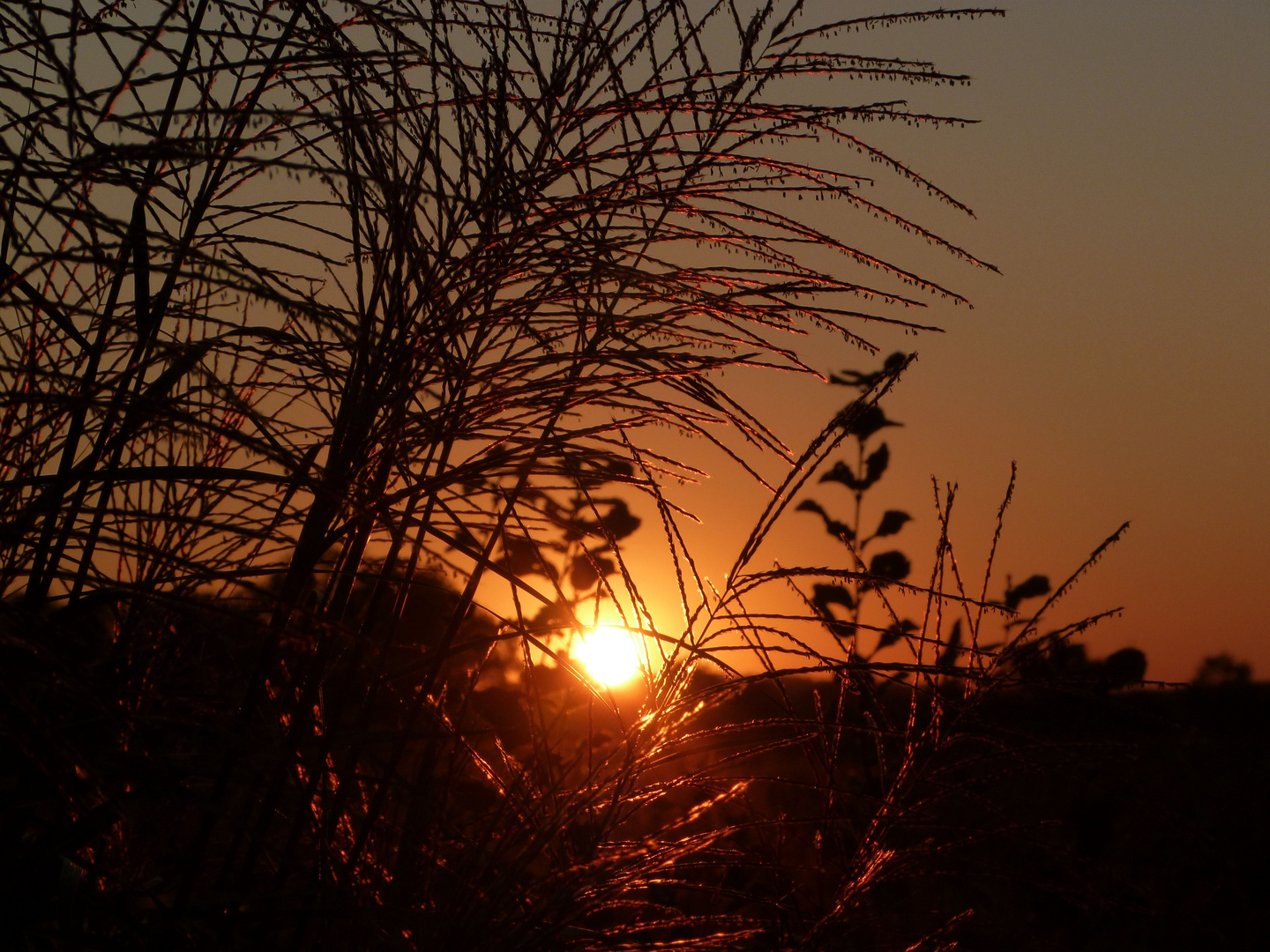 Herbstabend im Garten