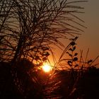 Herbstabend im Garten