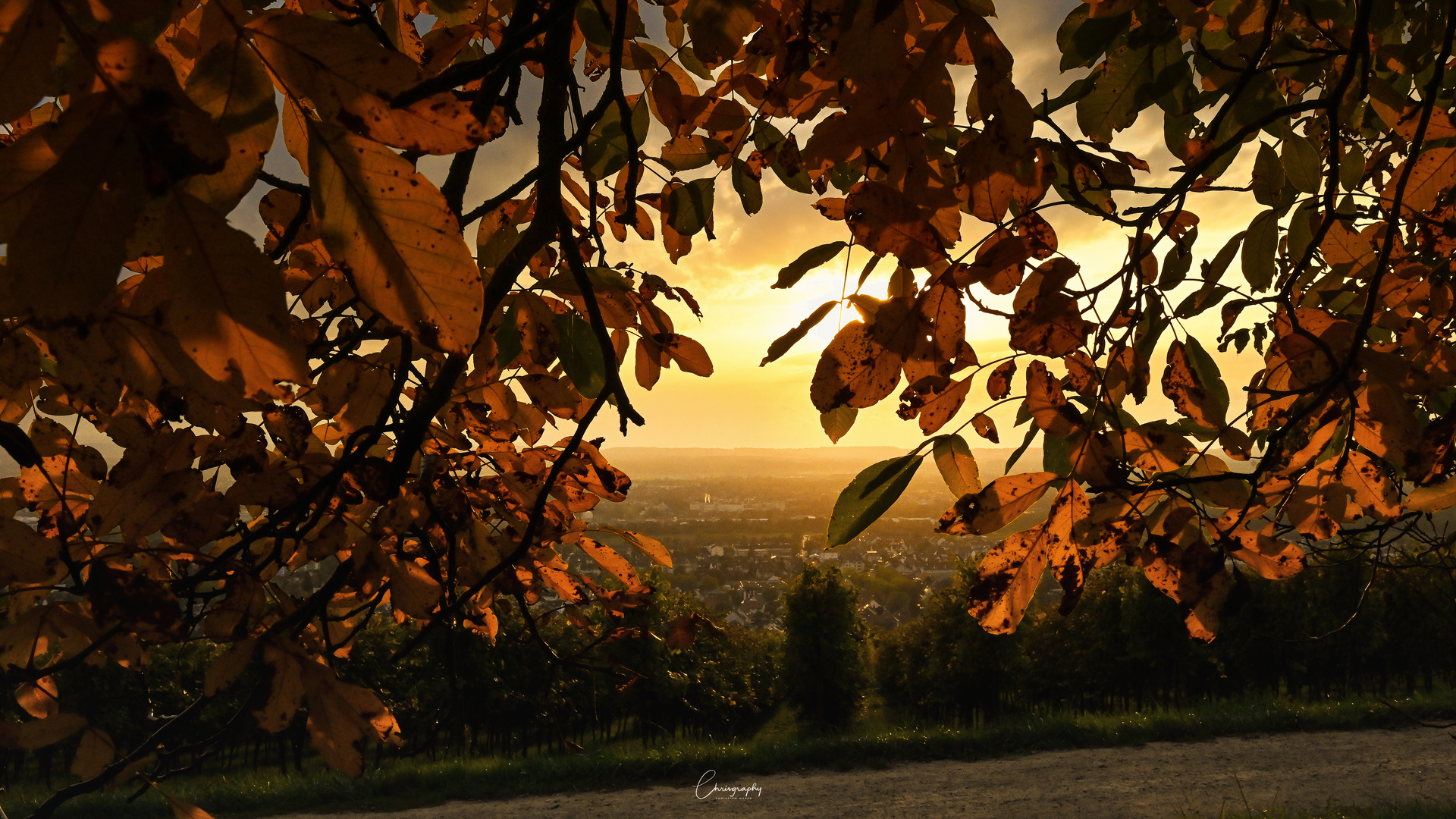 Herbstabend im Markgräflerland