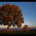 Herbstabend im Neckar-Alb-Kreis