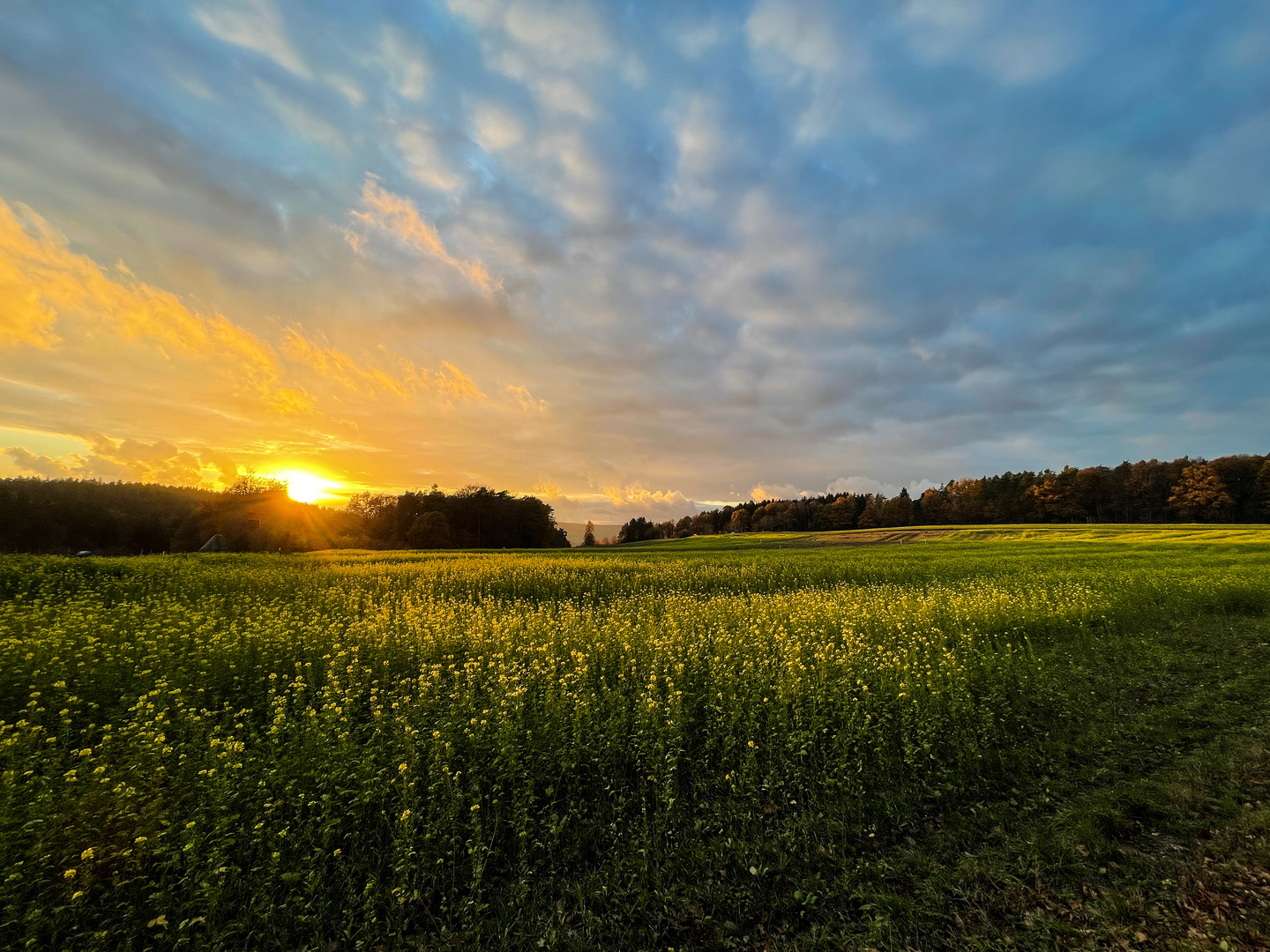 Herbstabend im Odenwald