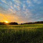 Herbstabend im Odenwald