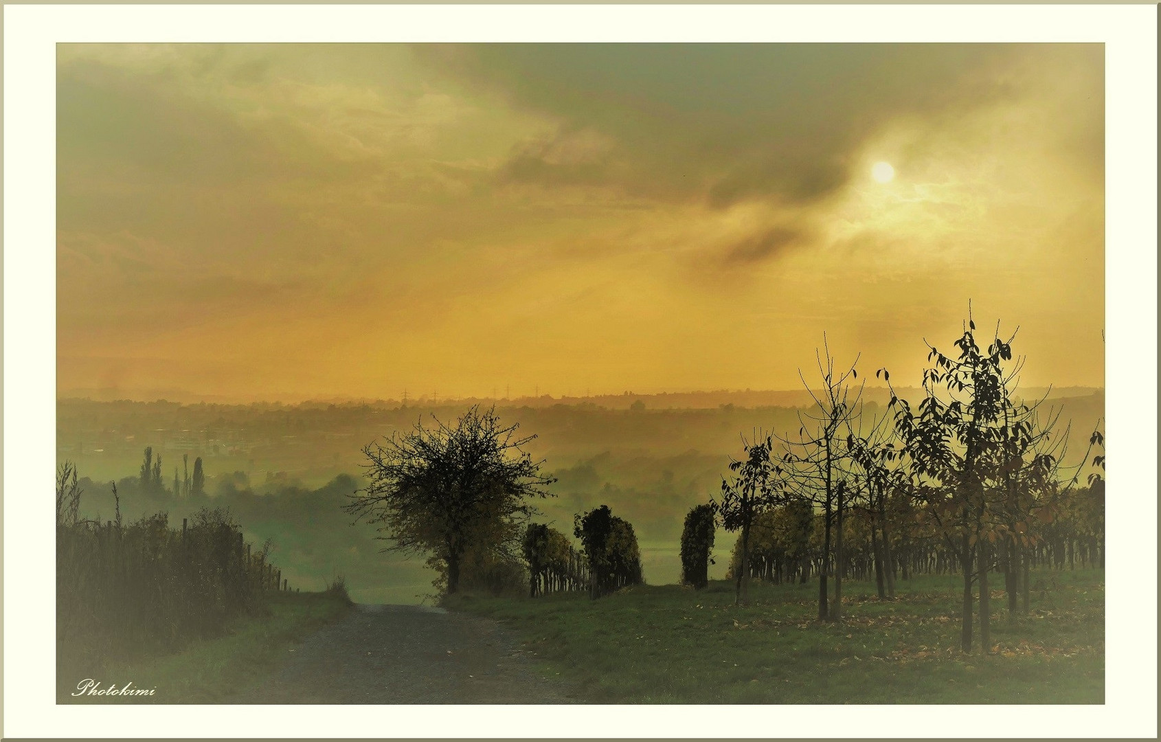 Herbstabend im Rheingau