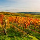 Herbstabend im Weinberg 05