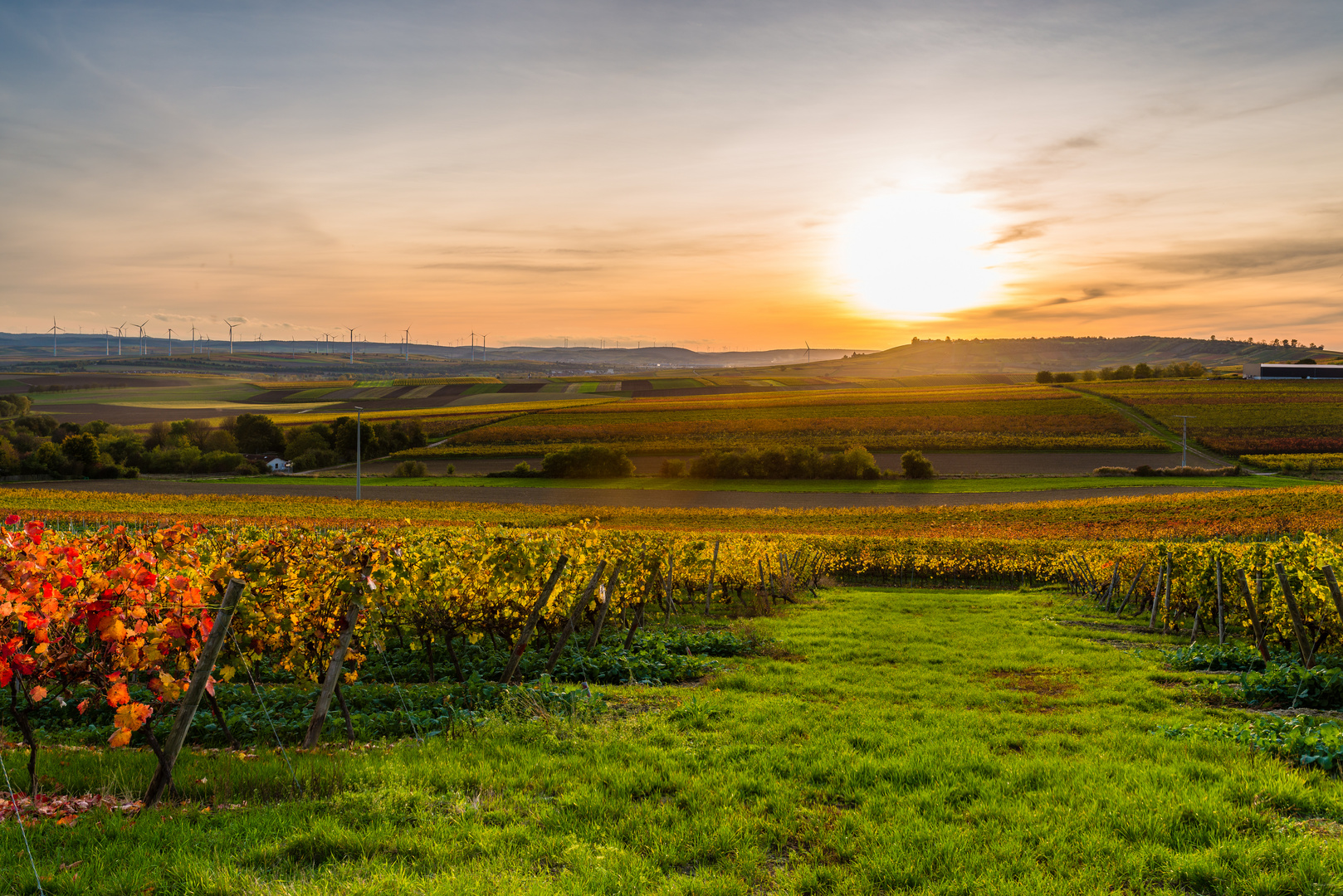 Herbstabend im Weinberg 14