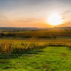 Herbstabend im Weinberg 14