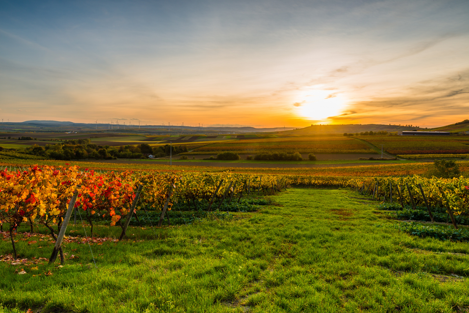 Herbstabend im Weinberg 18