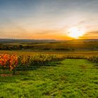 Herbstabend im Weinberg 18