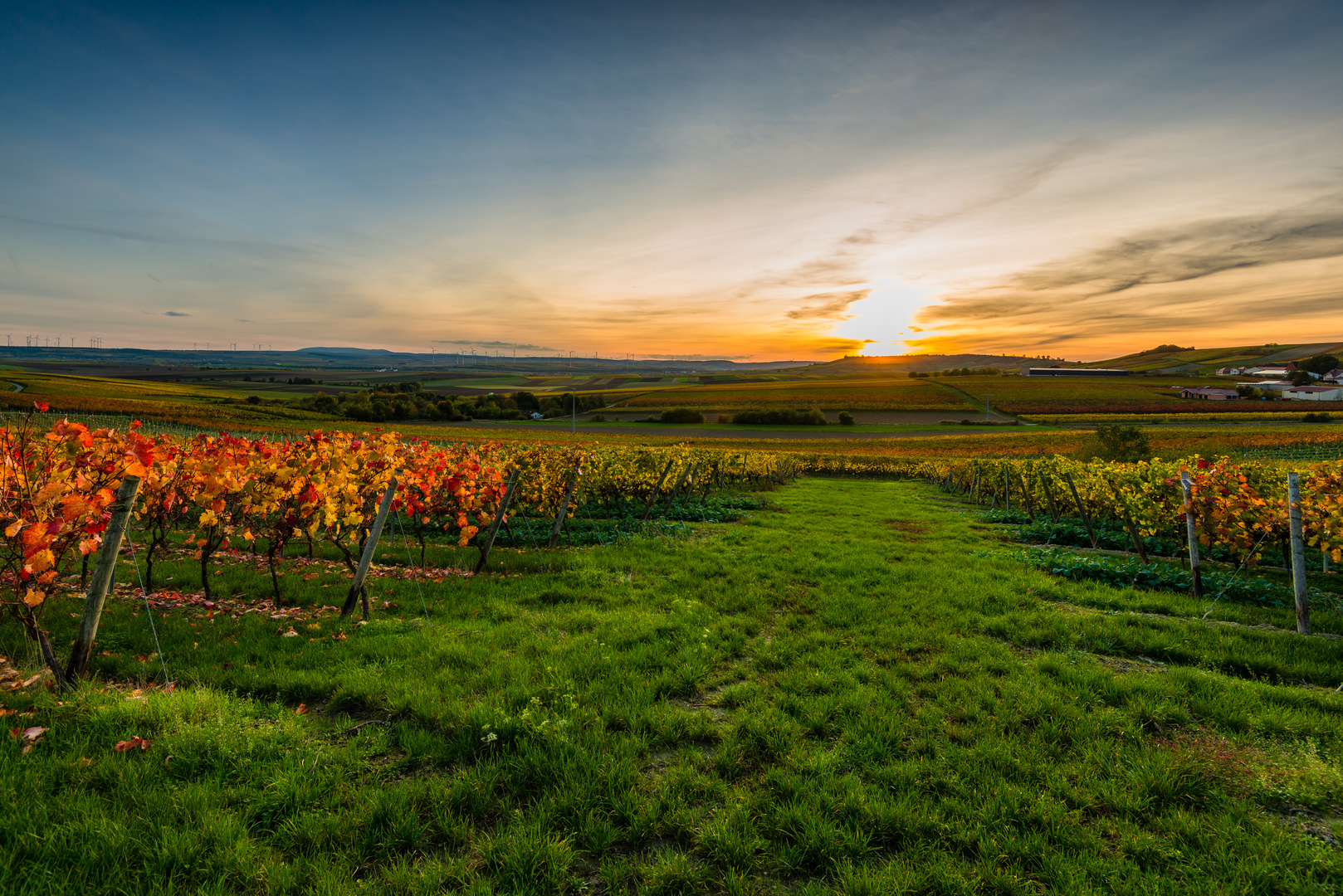 Herbstabend im Weinberg 29