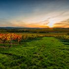 Herbstabend im Weinberg 29