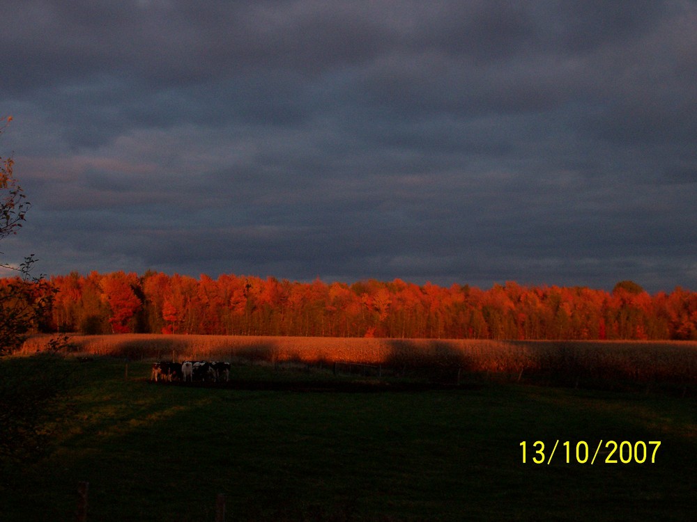 herbstabend in canada