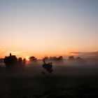 herbstabend in der heide