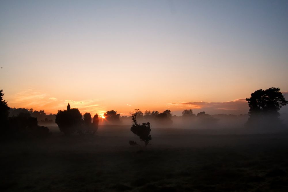 herbstabend in der heide