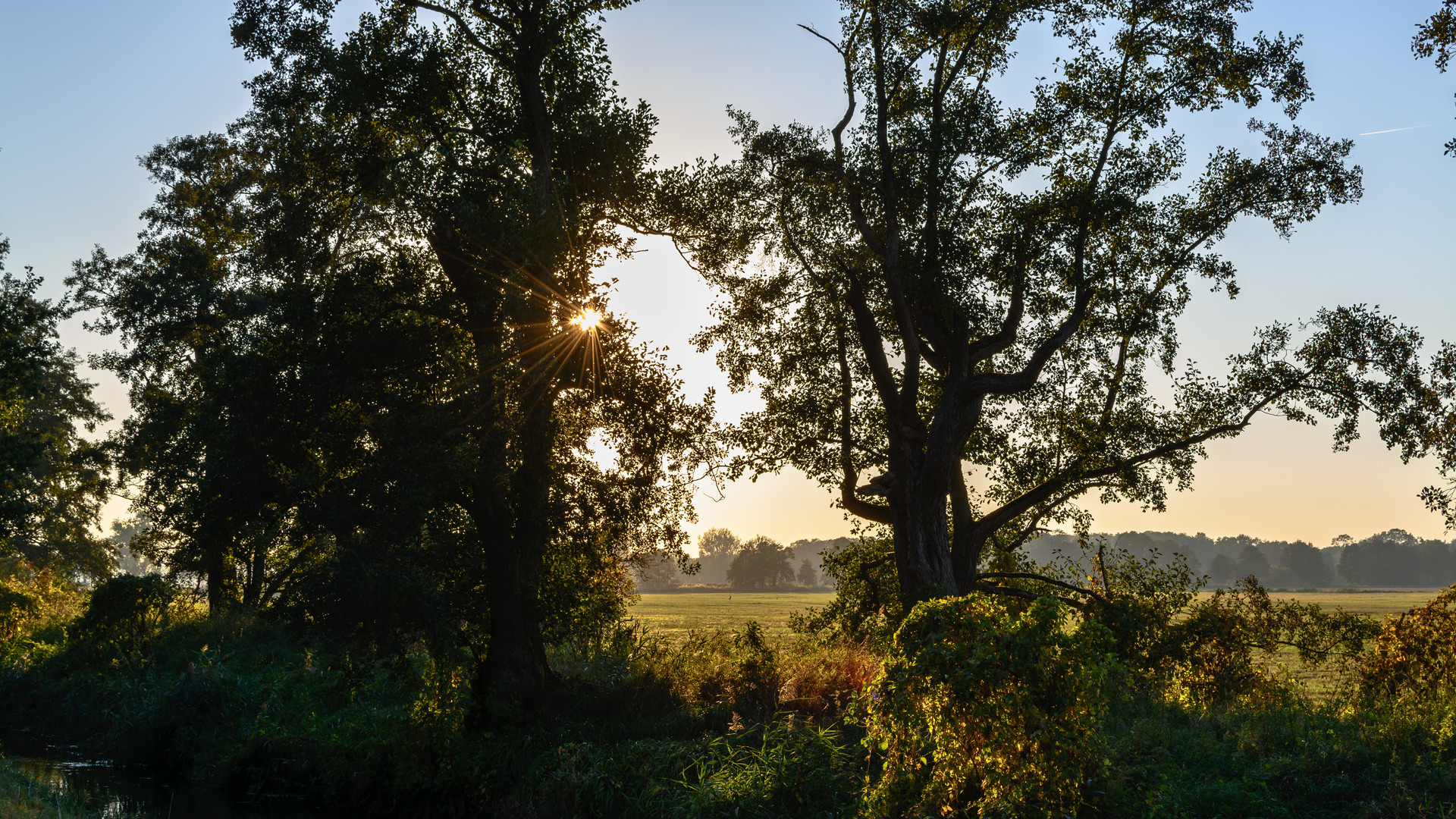 Herbstabend in der Lewitz