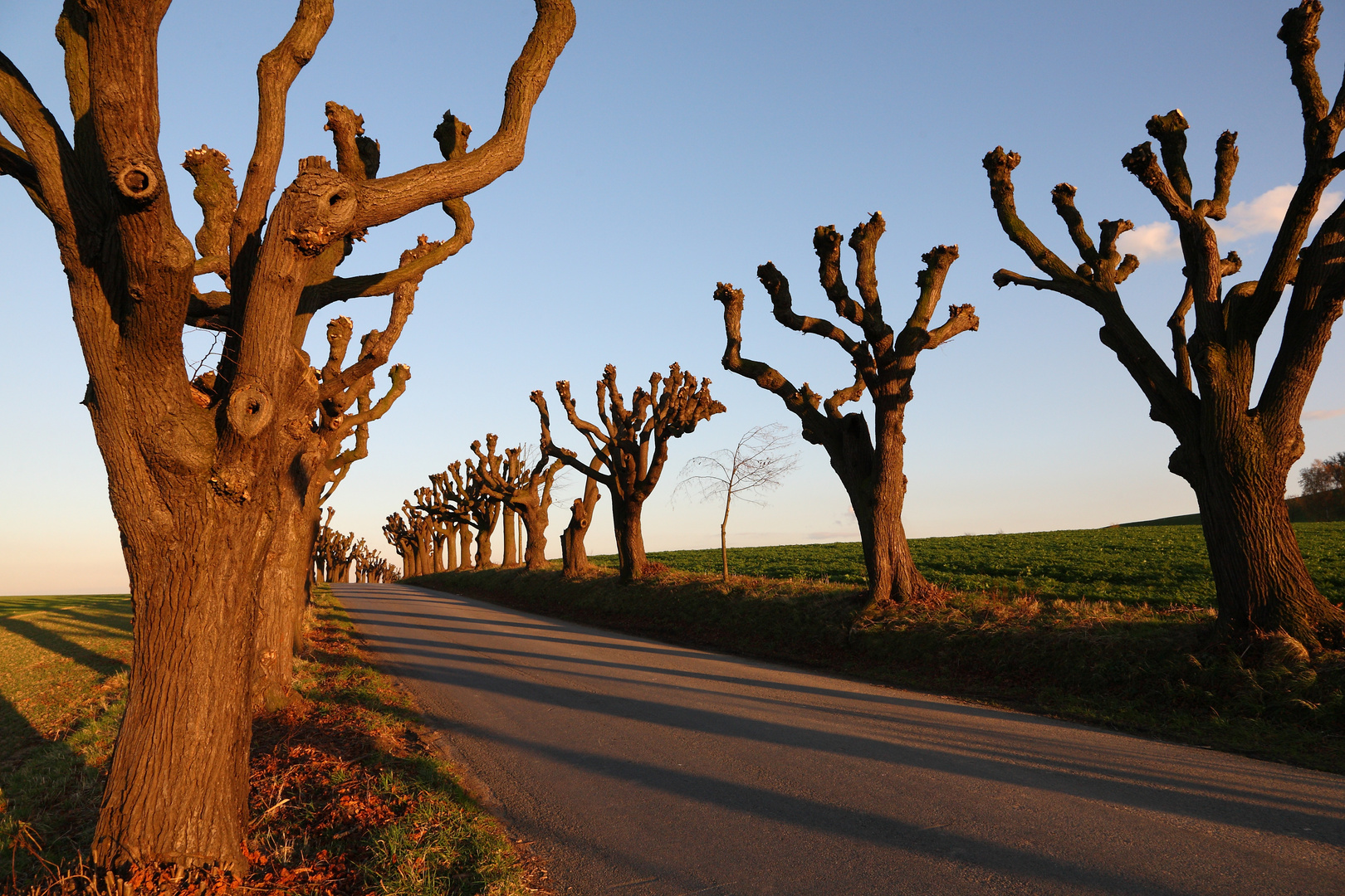 Herbstabend in der Oberlausitz