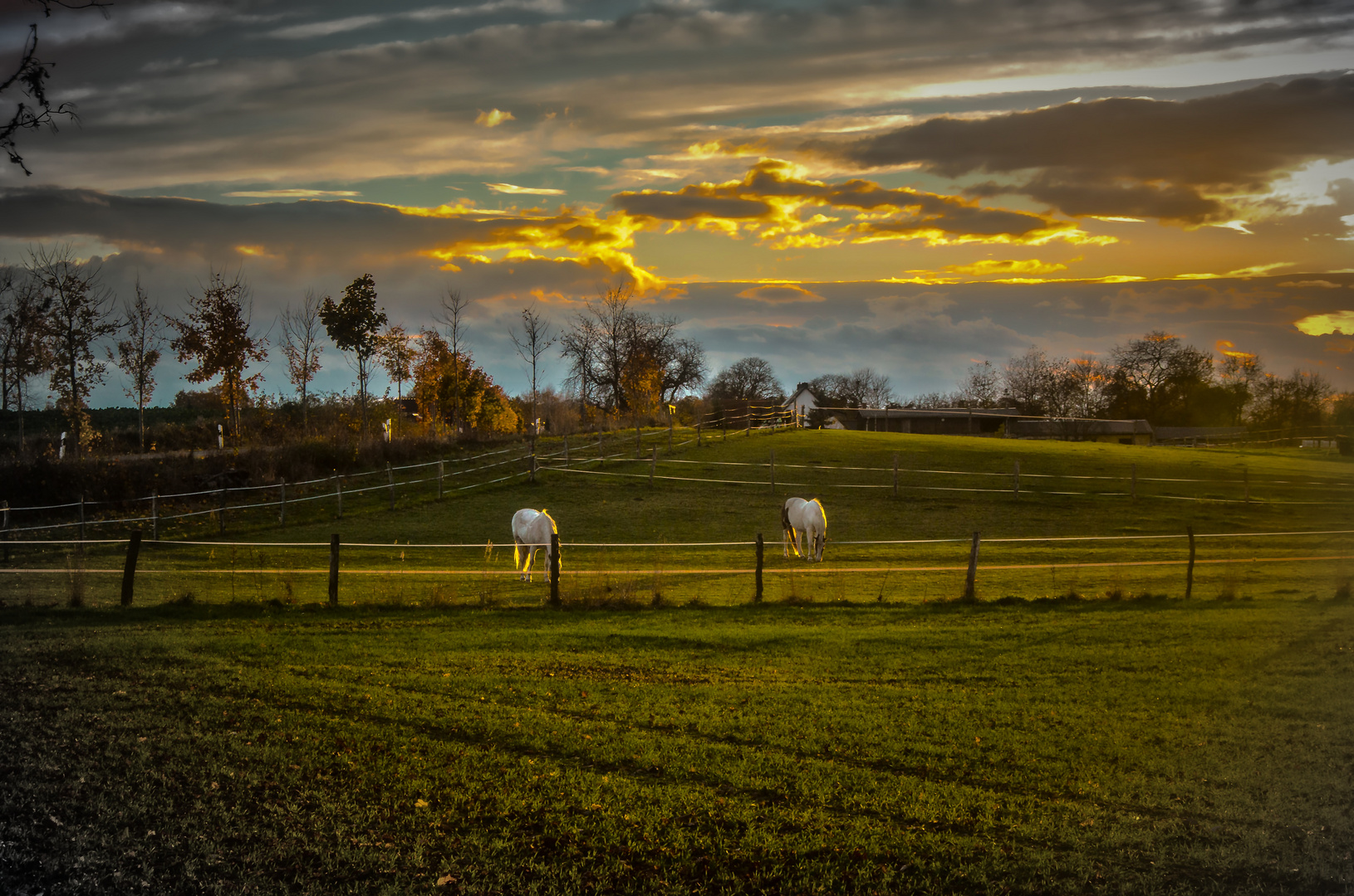 Herbstabend in Märkisch Oderland