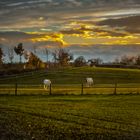 Herbstabend in Märkisch Oderland