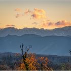 Herbstabend mit Alpenblick