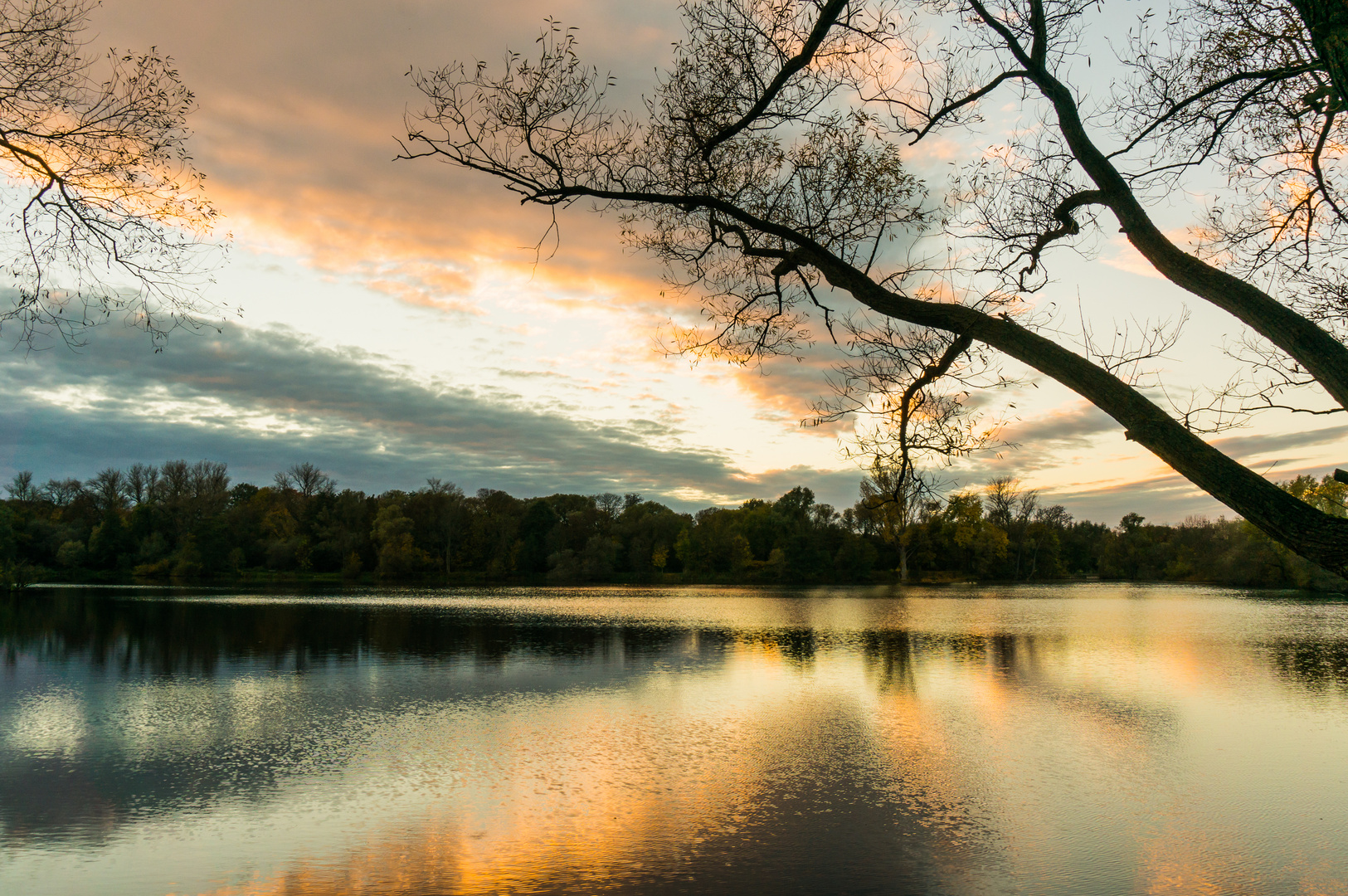 Herbstabend Ricklinger Stadtteich/Hannover Foto & Bild landschaft