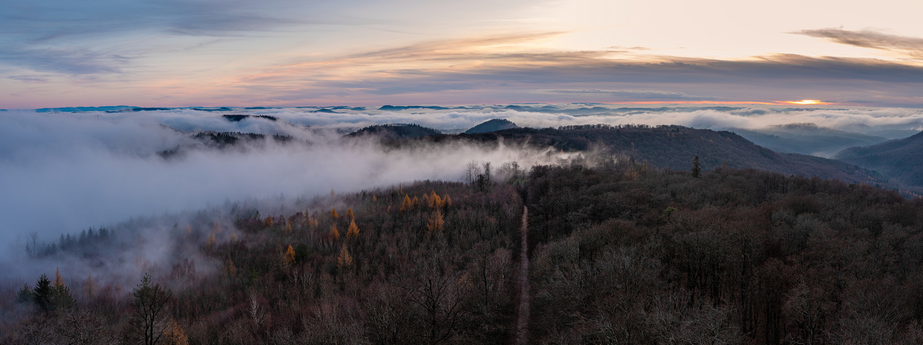 Herbstabend über dem Pfälzerwald