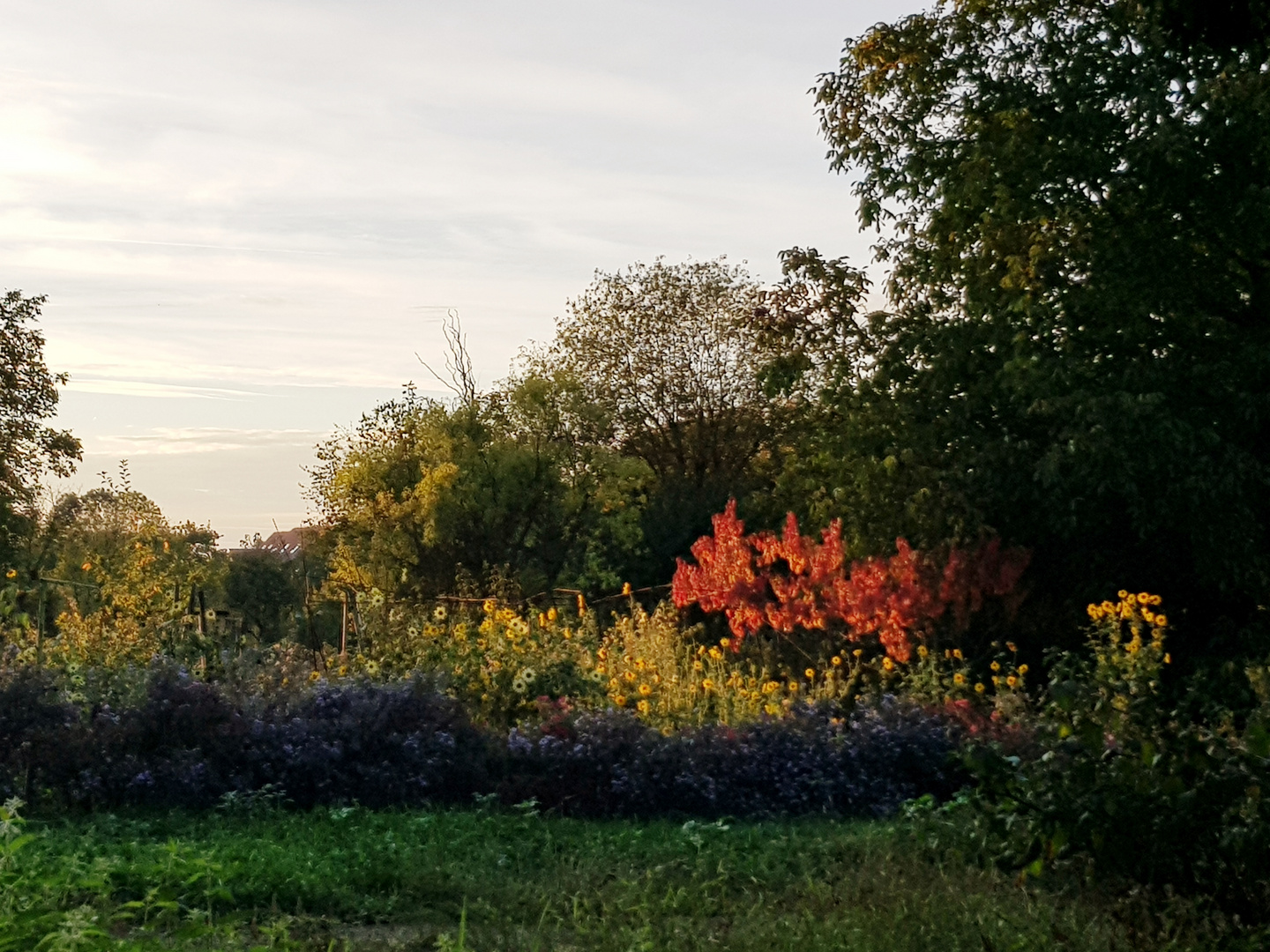 Herbstabendleuchten