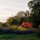 Herbstabendleuchten