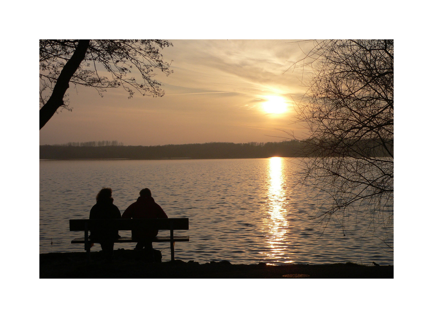 Herbstabendsonne am See (Niederrhein 005)