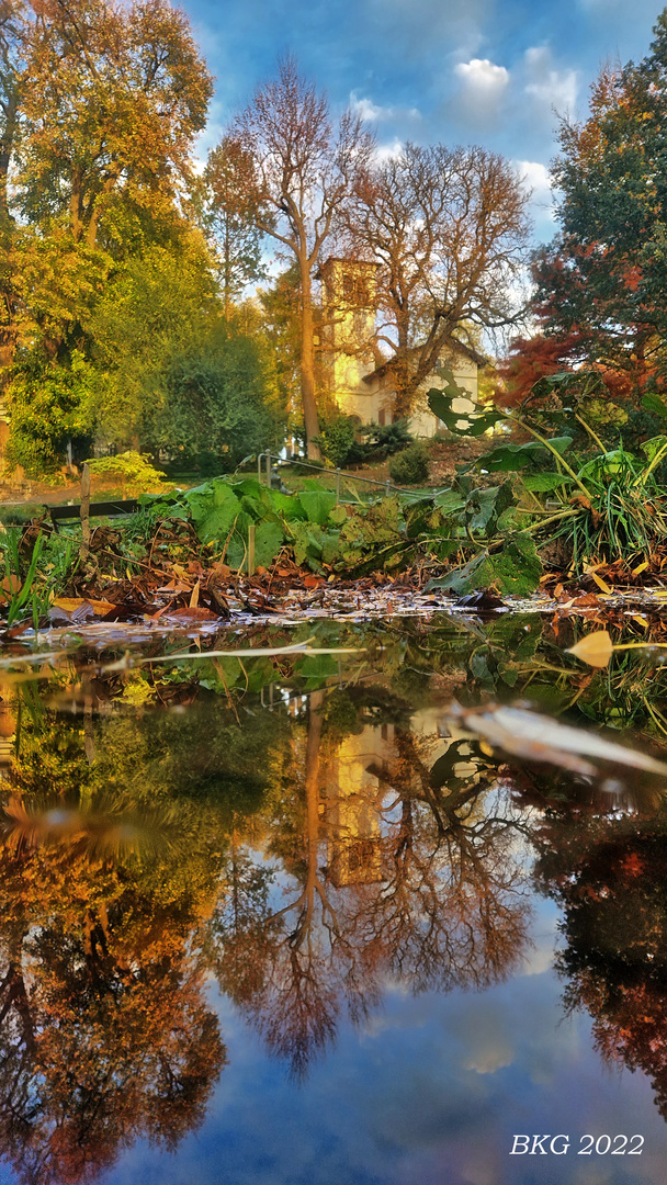 Herbstabendsonne Botanischer Garten Gera 