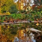 Herbstabendsonne Botanischer Garten Gera 