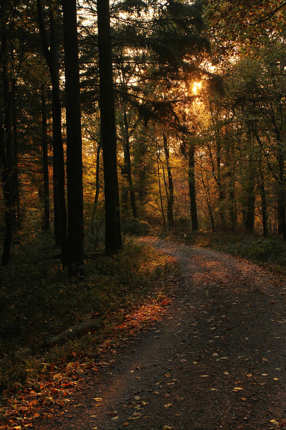 Herbstabendspaziergang