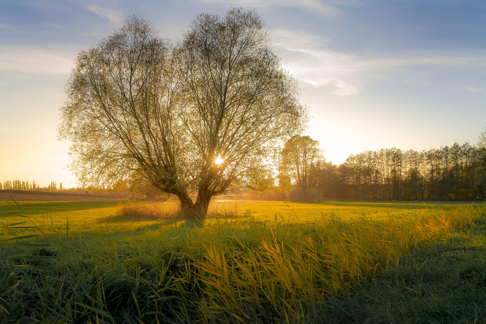 Herbstabendstimmung