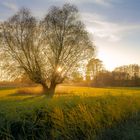 Herbstabendstimmung