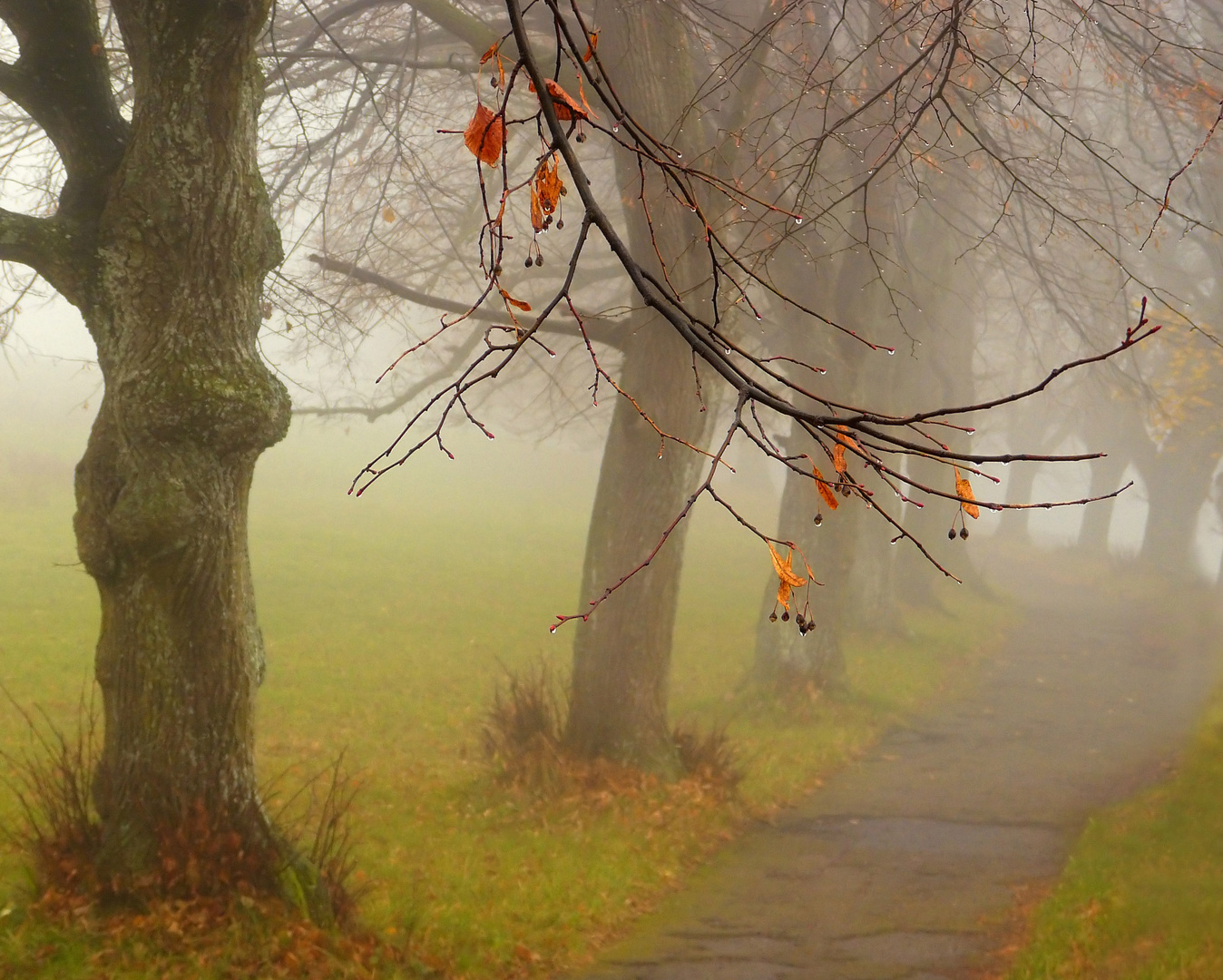 Herbstabschiedskarte.