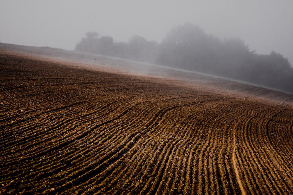 Herbstacker