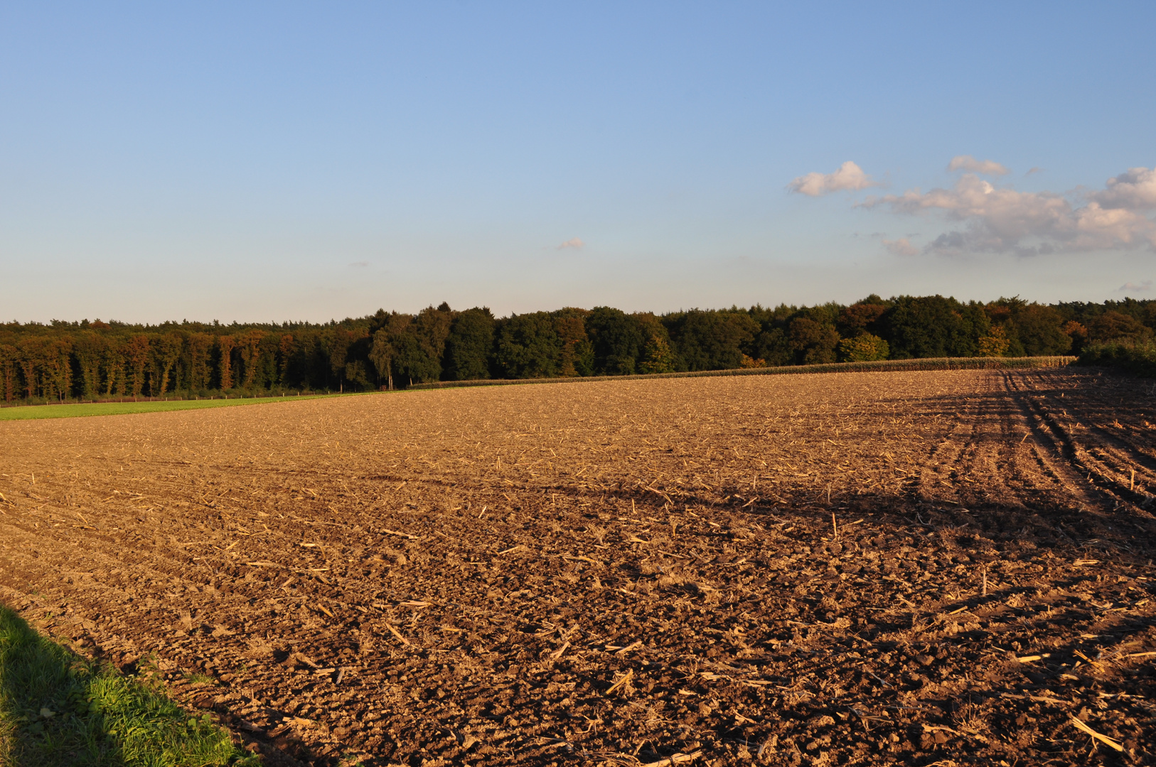 Herbstacker