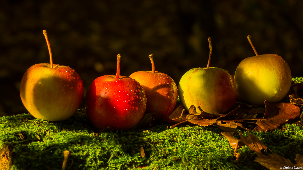 HerbstÄpfel