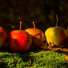 HerbstÄpfel