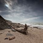 Herbstag an der Nordsee nähe Hirtshals