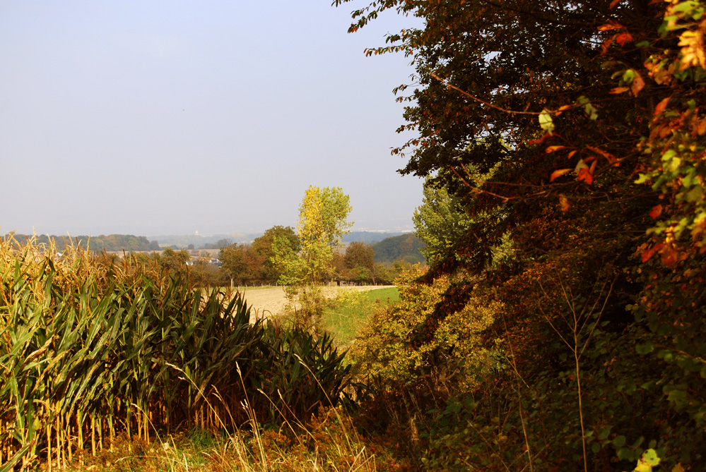 Herbstag im Elsass