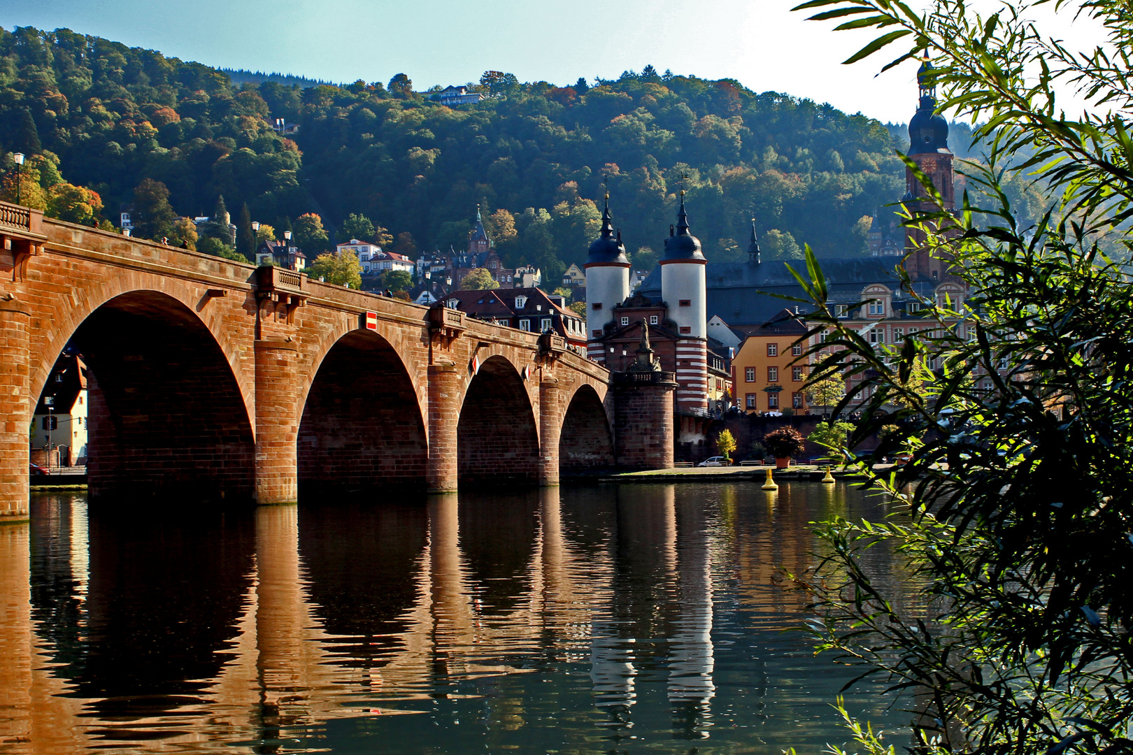 Herbstag in HD