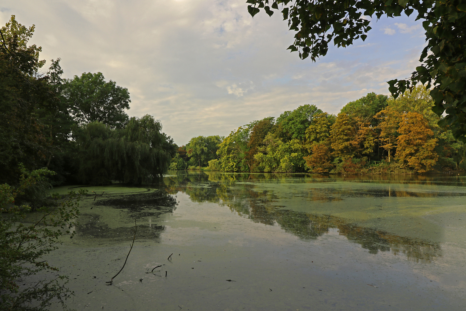 Herbstahnung im Park