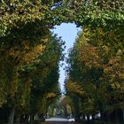 HERBSTALLE IN SCHÖNBRUNN