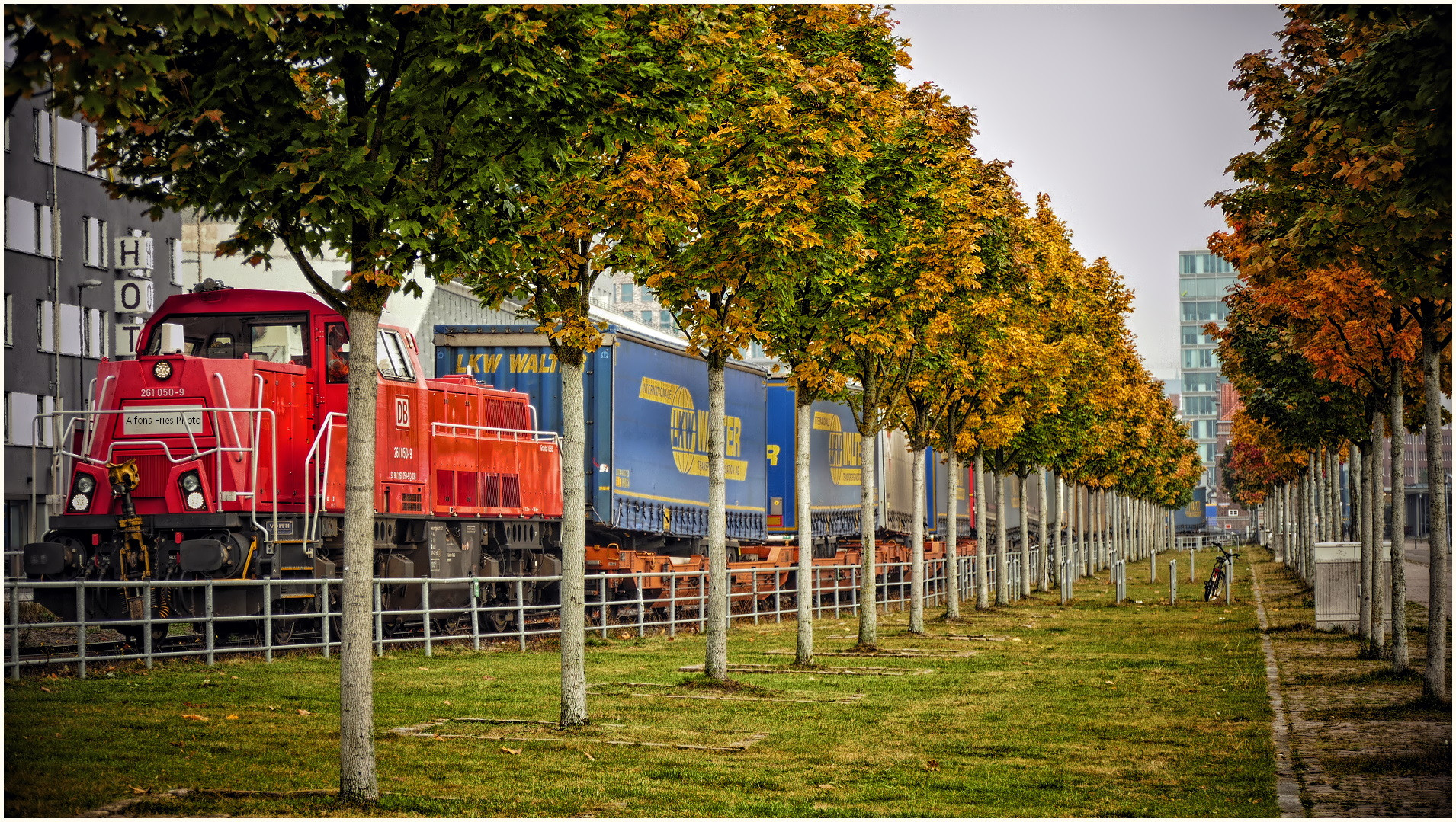 Herbstallee am Kieler Hafen